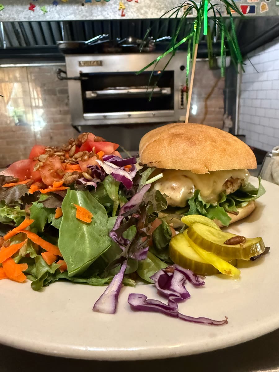 Chicken sammy with melted cheese on a ciabatta-style roll, served with a side salad of greens, tomatoes, carrots and sunflower seeds, plus pickles